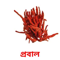 প্রবাল Bildkarteikarten