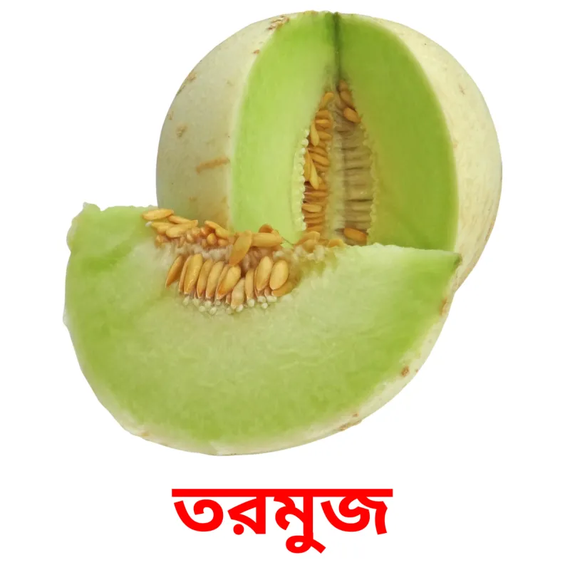 11 FREE Berries Flashcards in 4 PDF formats Bengali Pictures