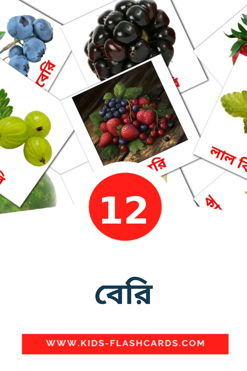 12 cartes illustrées de বেরি pour la maternelle en bengali