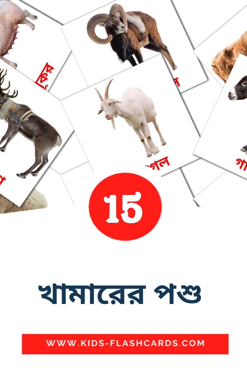 খামারের পশু  на бенгальском для Детского Сада (15 карточек)