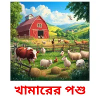 খামারের পশু Bildkarteikarten