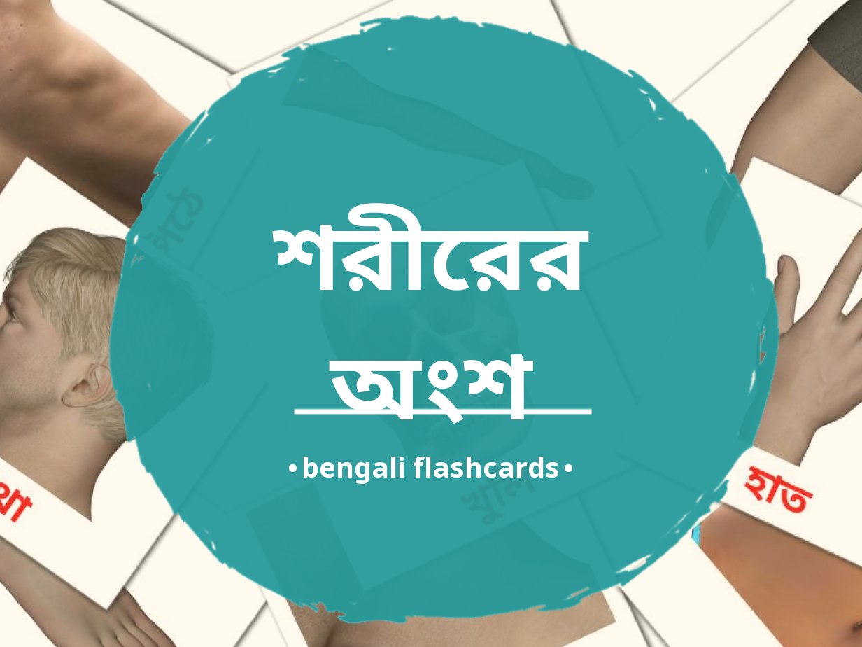 26 FREE Body Parts Flashcards PDF Bengali Words