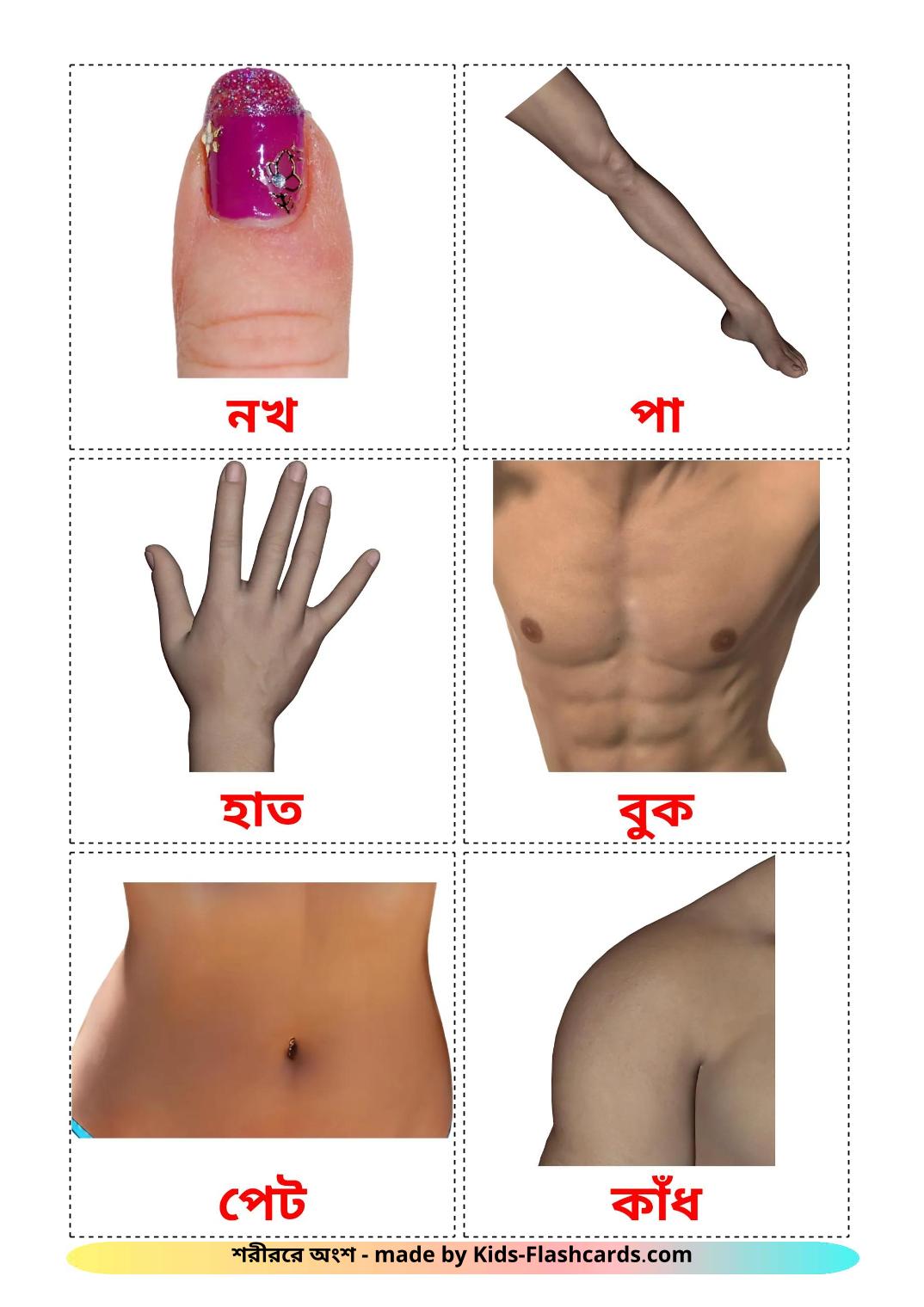 Body Parts - 26 Free Printable bengali Flashcards 