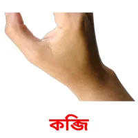 কব্জি picture flashcards