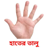 হাতের তালু picture flashcards