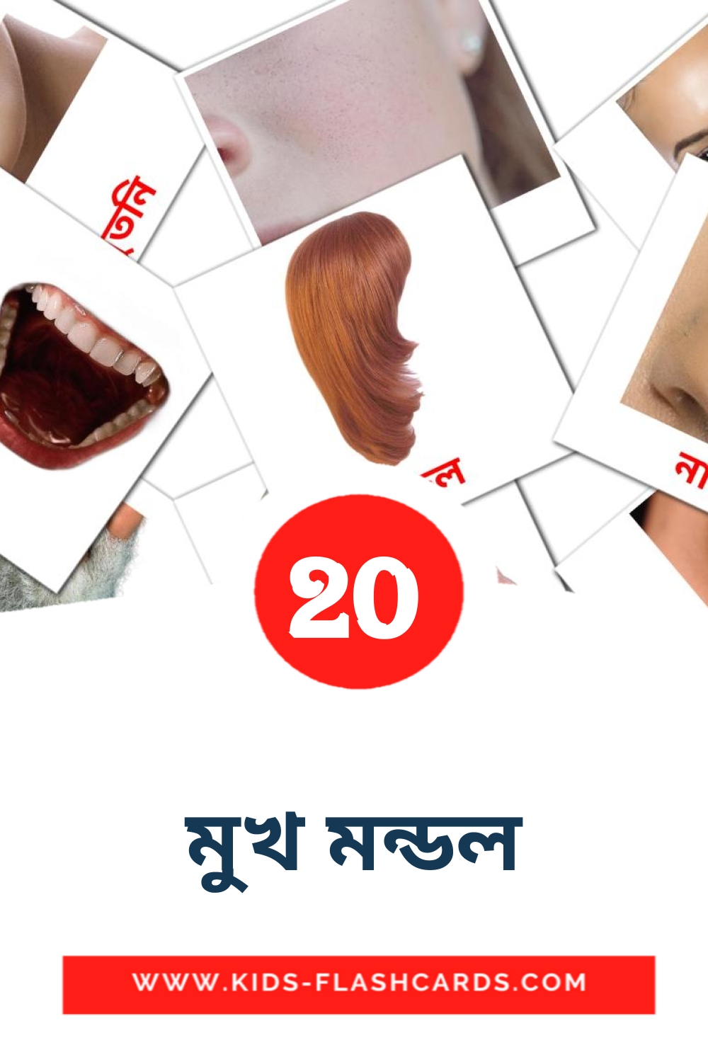 20 cartes illustrées de মুখ মন্ডল pour la maternelle en bengali