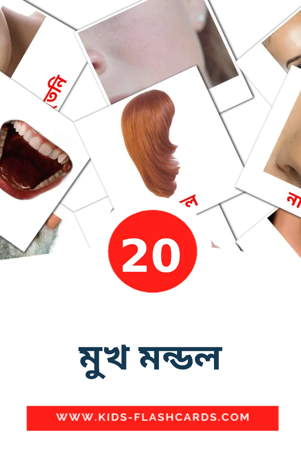 20 carte illustrate di মুখ মন্ডল per la scuola materna in bengalese