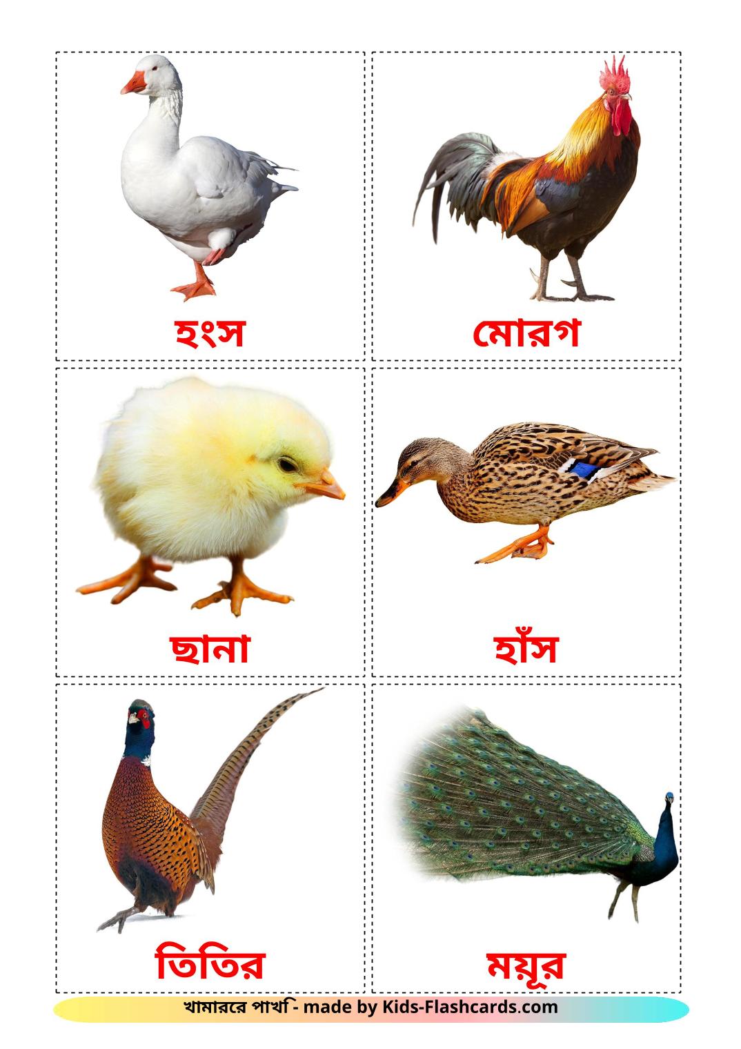 Farm birds - 11 Free Printable bengali Flashcards 