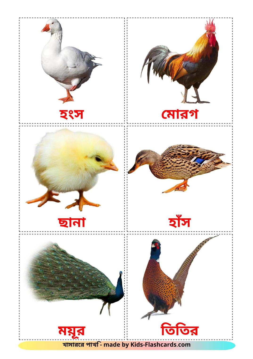 Les Oiseaux de Ferme - 12 Flashcards bengali imprimables gratuitement