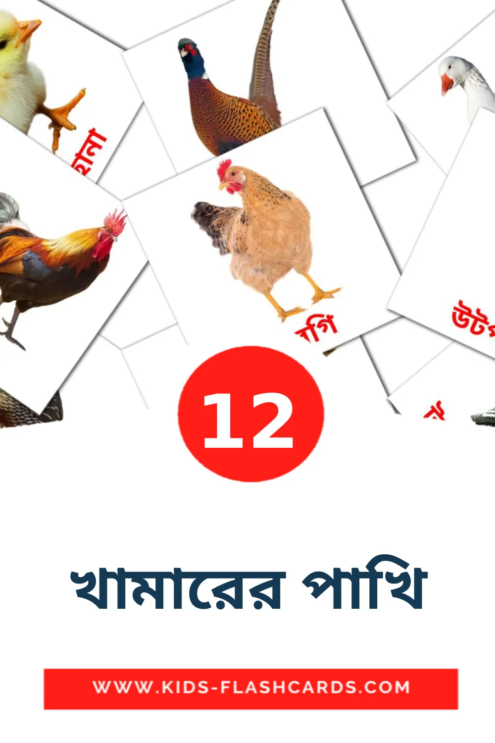 12 cartes illustrées de খামারের পাখি pour la maternelle en bengali