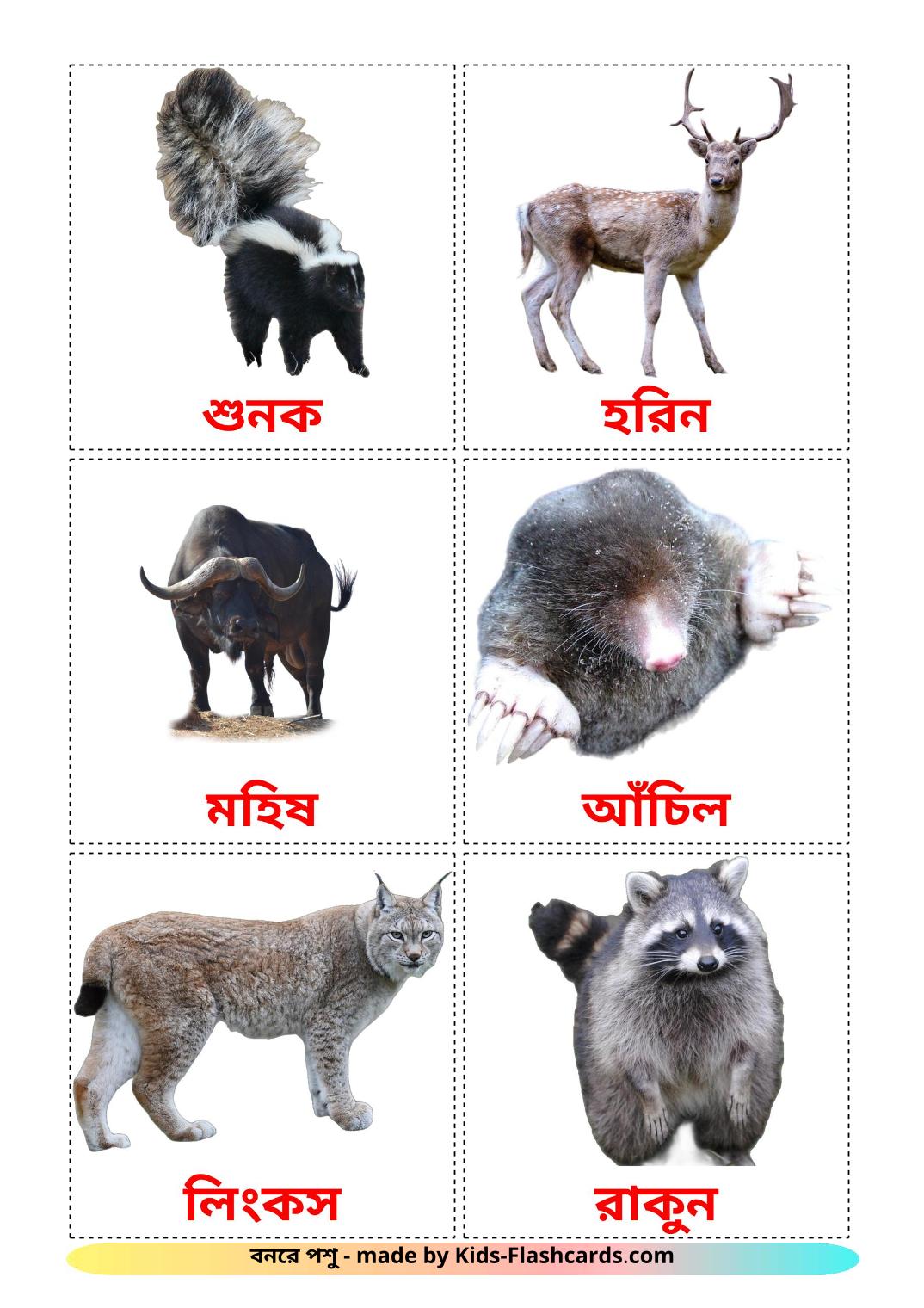 Les Animaux de la Forêt - 22 Flashcards bengali imprimables gratuitement