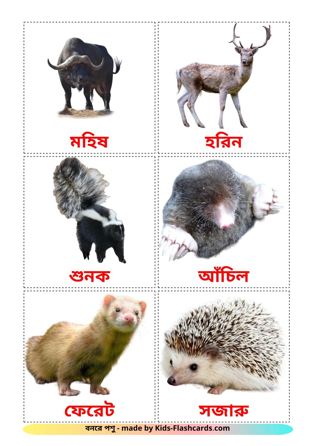 Les Animaux de la Forêt - 23 Flashcards bengali imprimables gratuitement