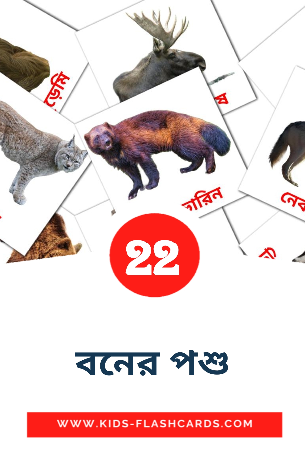 22 cartes illustrées de বনের পশু pour la maternelle en bengali