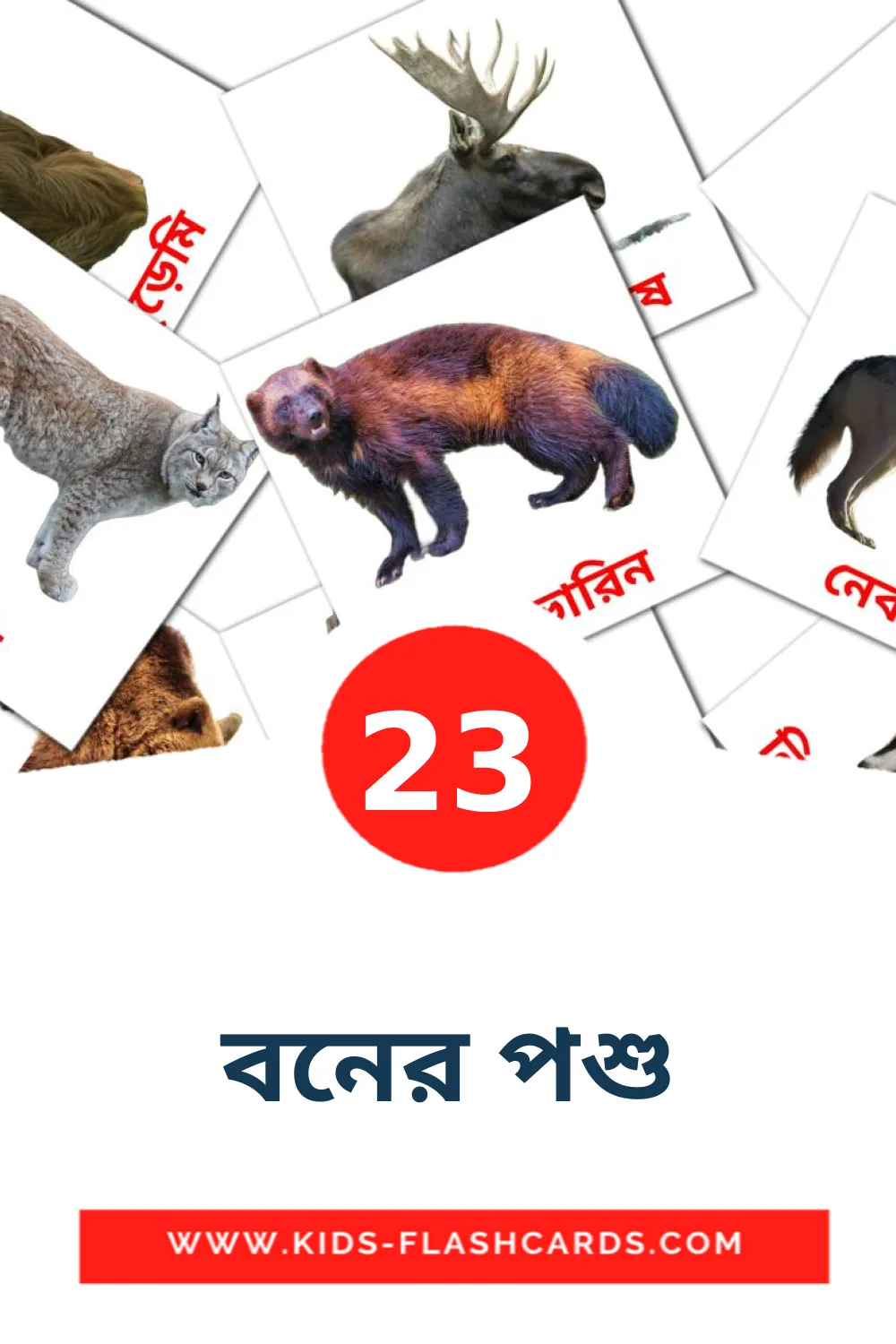 23 cartes illustrées de বনের পশু pour la maternelle en bengali