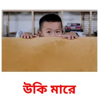 উকি মারে Bildkarteikarten