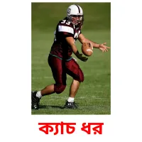 ক্যাচ ধর Bildkarteikarten