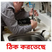 ঠিক করতেছে Bildkarteikarten