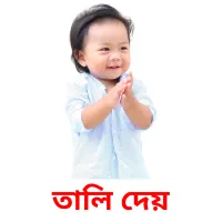 তালি দেয় Bildkarteikarten