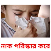 নাক পরিস্কার করে Bildkarteikarten