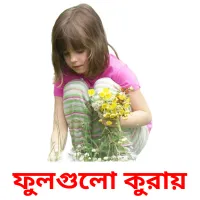 ফুলগুলো কুরায় Bildkarteikarten