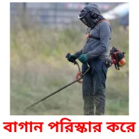 বাগান পরিস্কার করে Bildkarteikarten