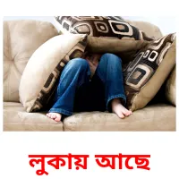 লুকায় আছে Bildkarteikarten