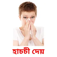 হাচচী দেয় Bildkarteikarten