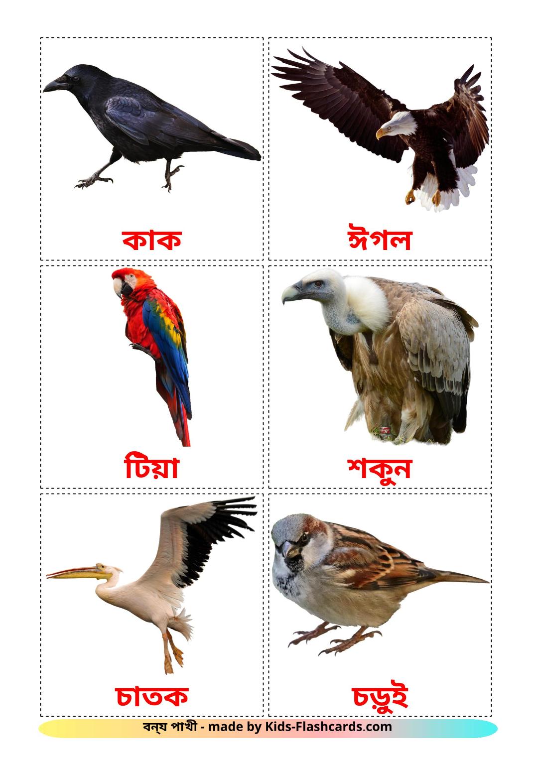 Wild birds - 18 Free Printable bengali Flashcards 