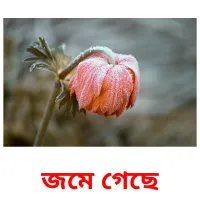 জমে গেছে ansichtkaarten