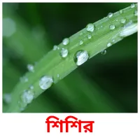 শিশির ansichtkaarten