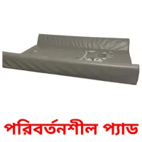 পরিবর্তনশীল প্যাড карточки энциклопедических знаний