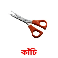 কাঁচি Bildkarteikarten