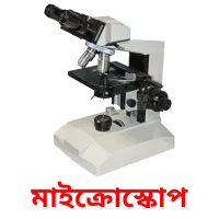 মাইক্রোস্কোপ Bildkarteikarten