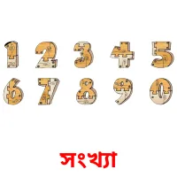 সংখ্যা Bildkarteikarten