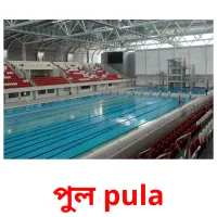 পুল pula flashcards illustrate