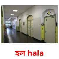 হল hala flashcards illustrate
