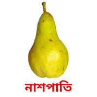 নাশপাতি picture flashcards