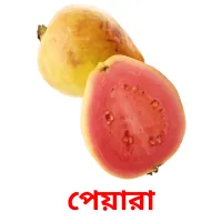 পেয়ারা picture flashcards