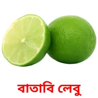 বাতাবি লেবু picture flashcards