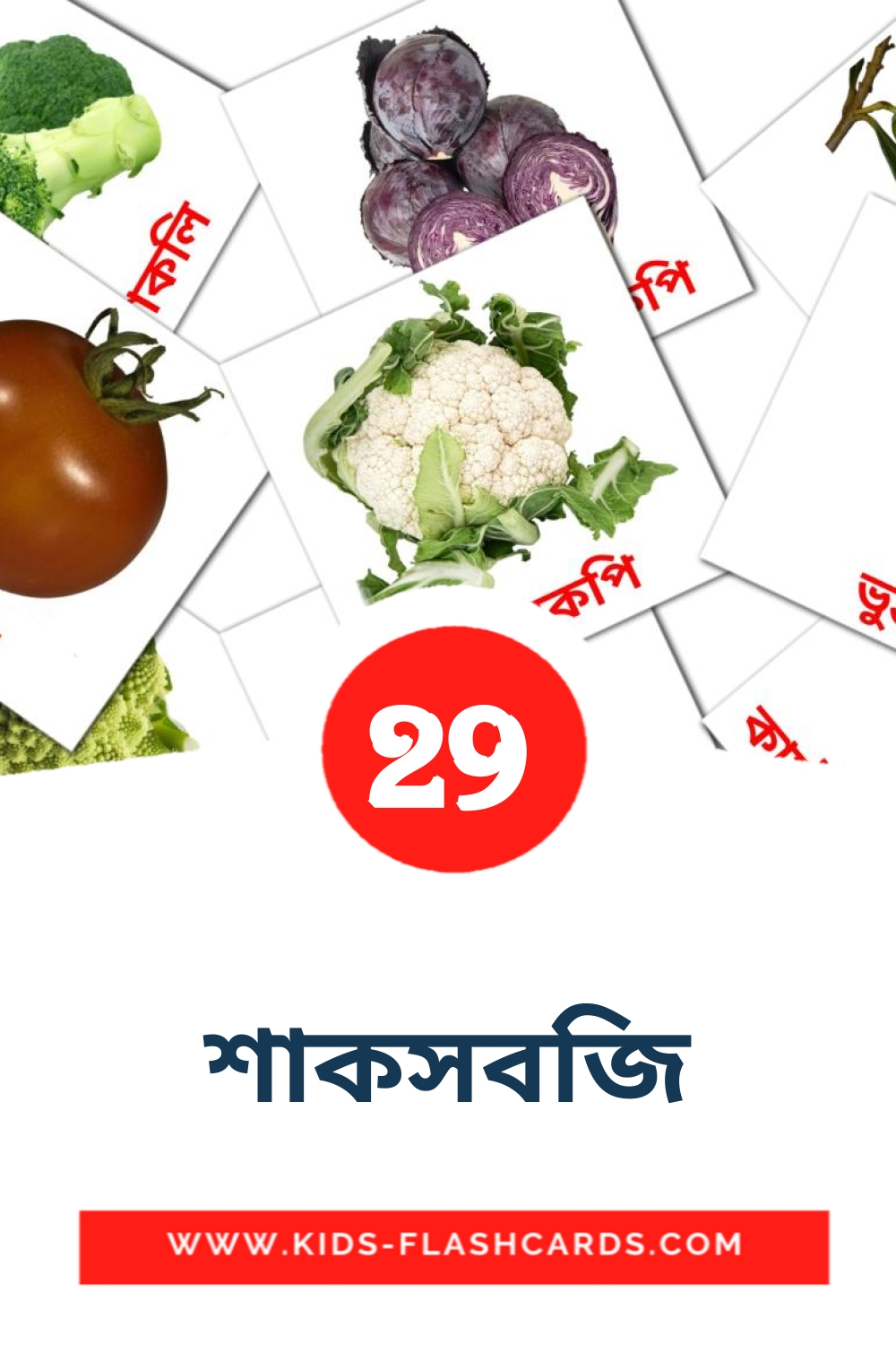 29 cartes illustrées de শাকসবজি pour la maternelle en bengali