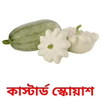 কাস্টার্ড স্কোয়াশ picture flashcards