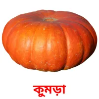 কুমড়া picture flashcards