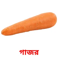 গাজর picture flashcards