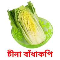 চীনা বাঁধাকপি picture flashcards