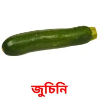 জুচিনি picture flashcards