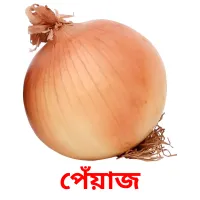 পেঁয়াজ picture flashcards