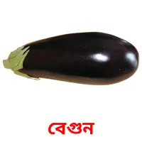 বেগুন picture flashcards