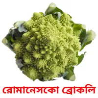 রোমানেসকো ব্রোকলি picture flashcards