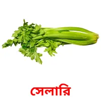 সেলারি picture flashcards