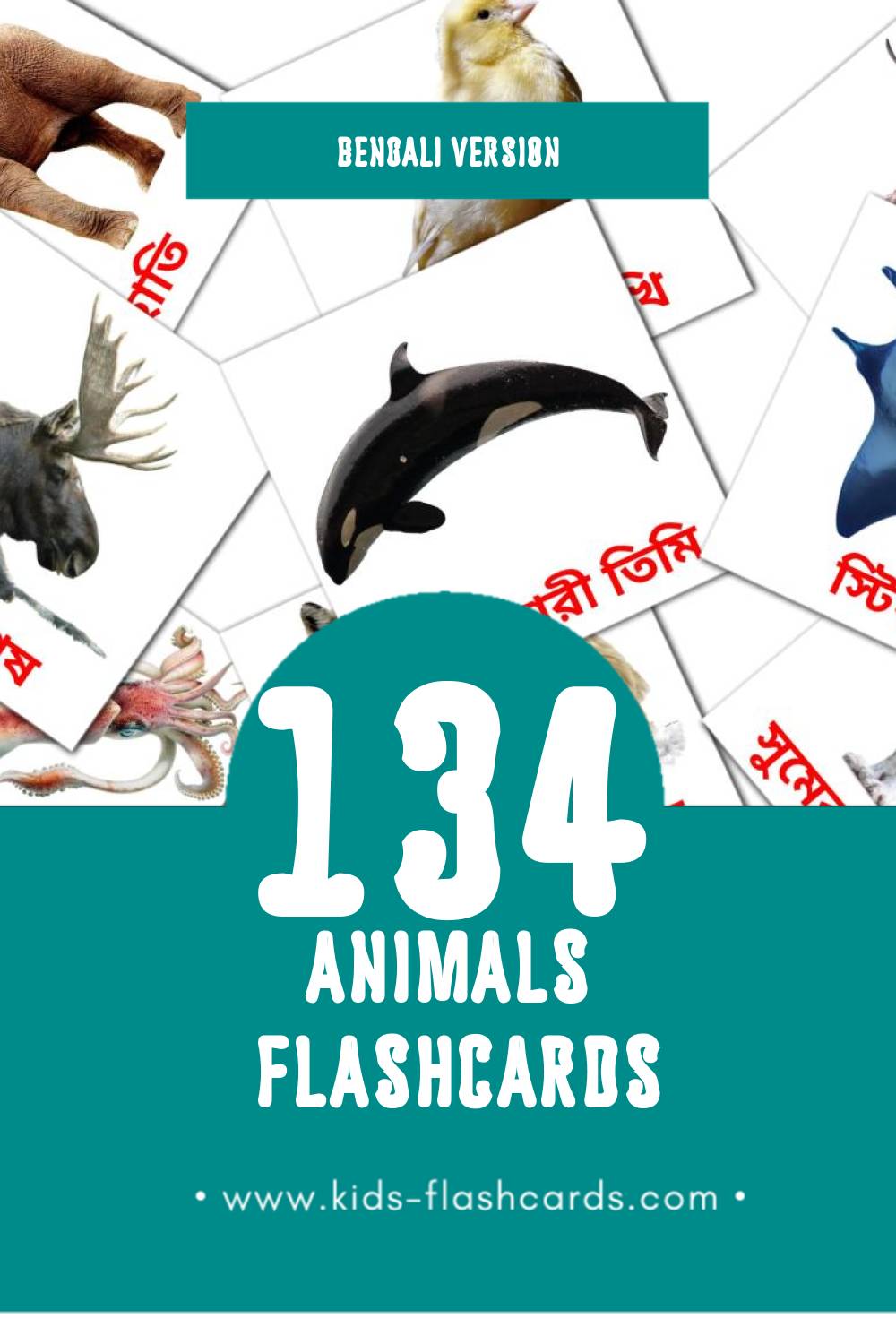 Visual পশু Flashcards for Toddlers (134 cards in Bengali)